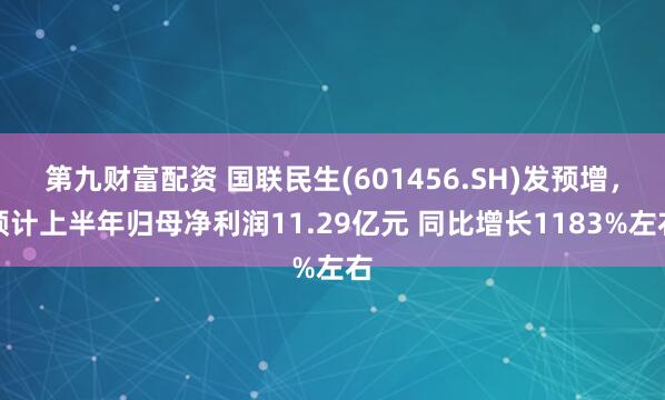 第九财富配资 国联民生(601456.SH)发预增，预计上半年归母净利润11.29亿元 同比增长1183%左右